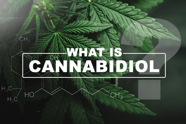 What is Cannabidiol?
