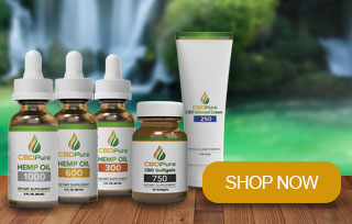 CBDPure Hemp Oil 600